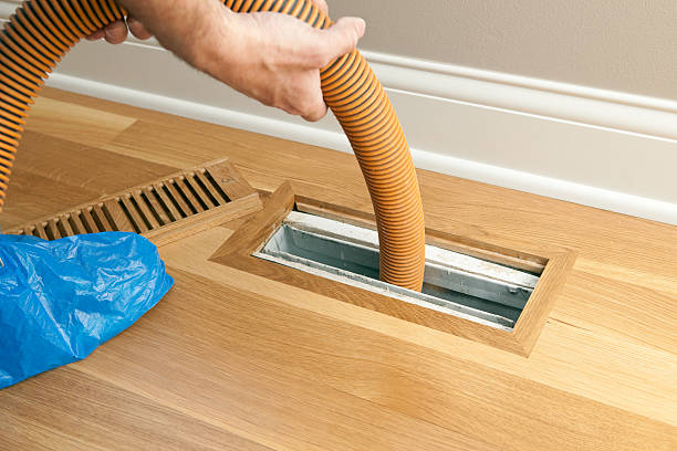 Best Dryer Vent Cleaning Services  in Harvey, ND